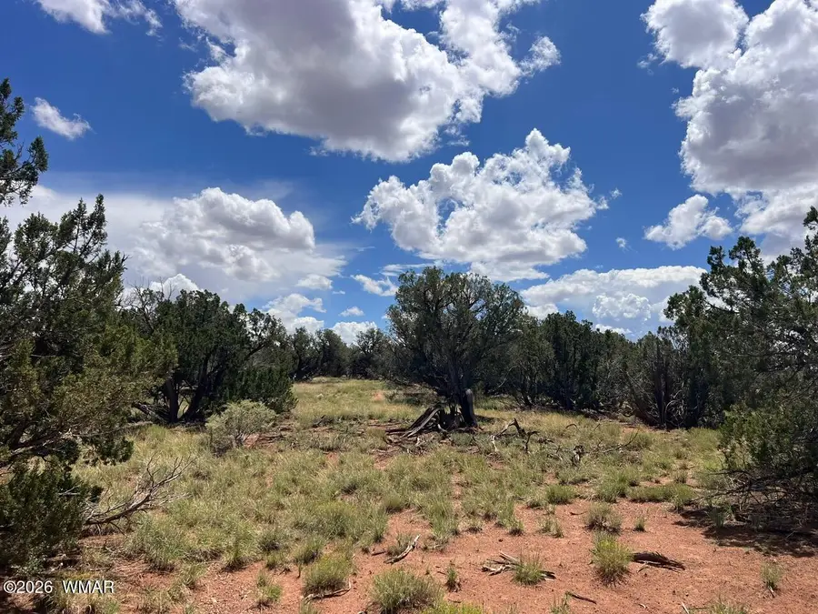 4151 - 4157 Sorrel Road, Snowflake, AZ 85937 - #2