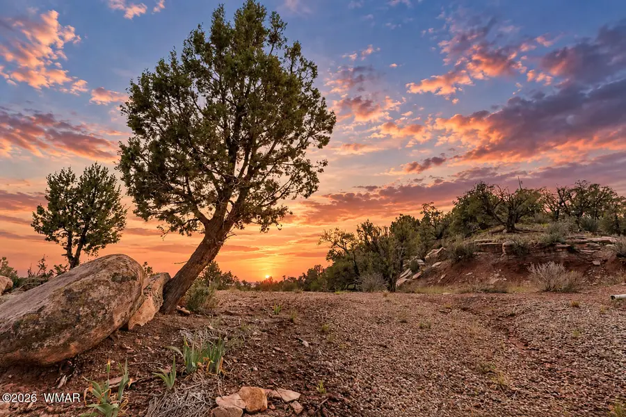 6963 Jacks High Road, Show Low, AZ 85901 - #2