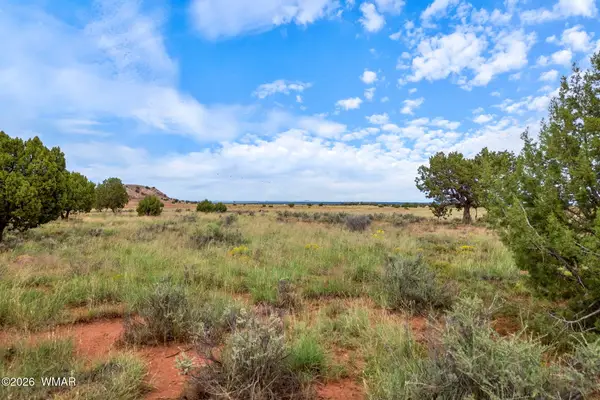 316 County Rd 9211, Concho, AZ 85924