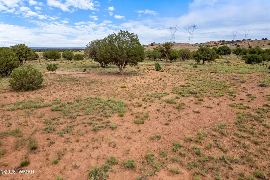 316 County Rd 9211, Concho, AZ 85924 - #2