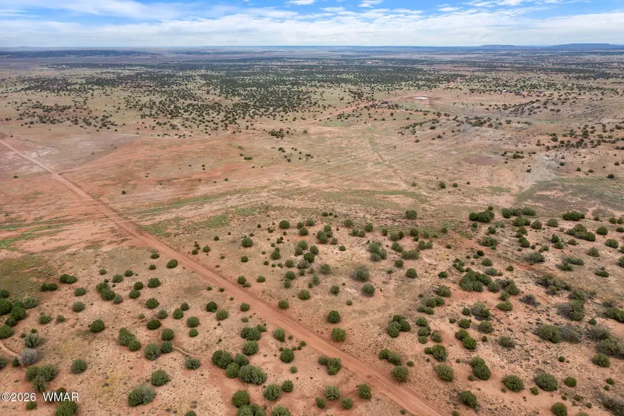 316 County Rd 9211, Concho, AZ 85924 - #3