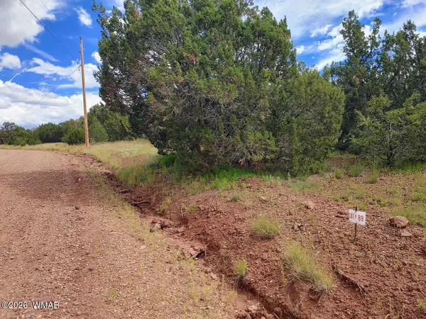 64 County Rd 8145 Lot 89, Vernon, AZ 85940