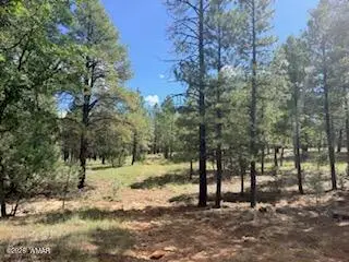 5155 Starlight Drive, Happy Jack, AZ 86024