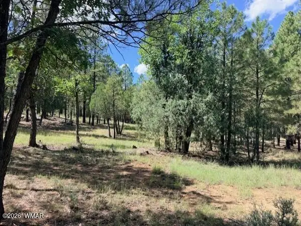 5163 Starlight Drive, Happy Jack, AZ 86024