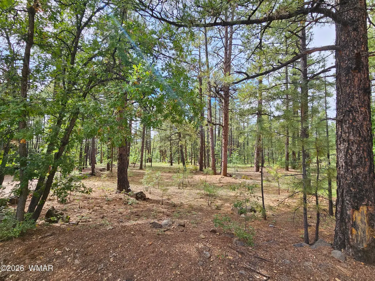 6311 Appaloosa Circle, Pinetop, AZ 85935 - #1