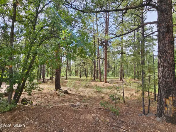 6311 Appaloosa Circle, Pinetop, AZ 85935