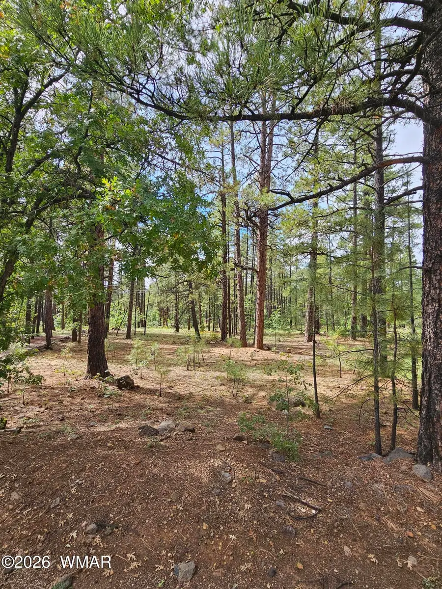 6311 Appaloosa Circle, Pinetop, AZ 85935 - #2