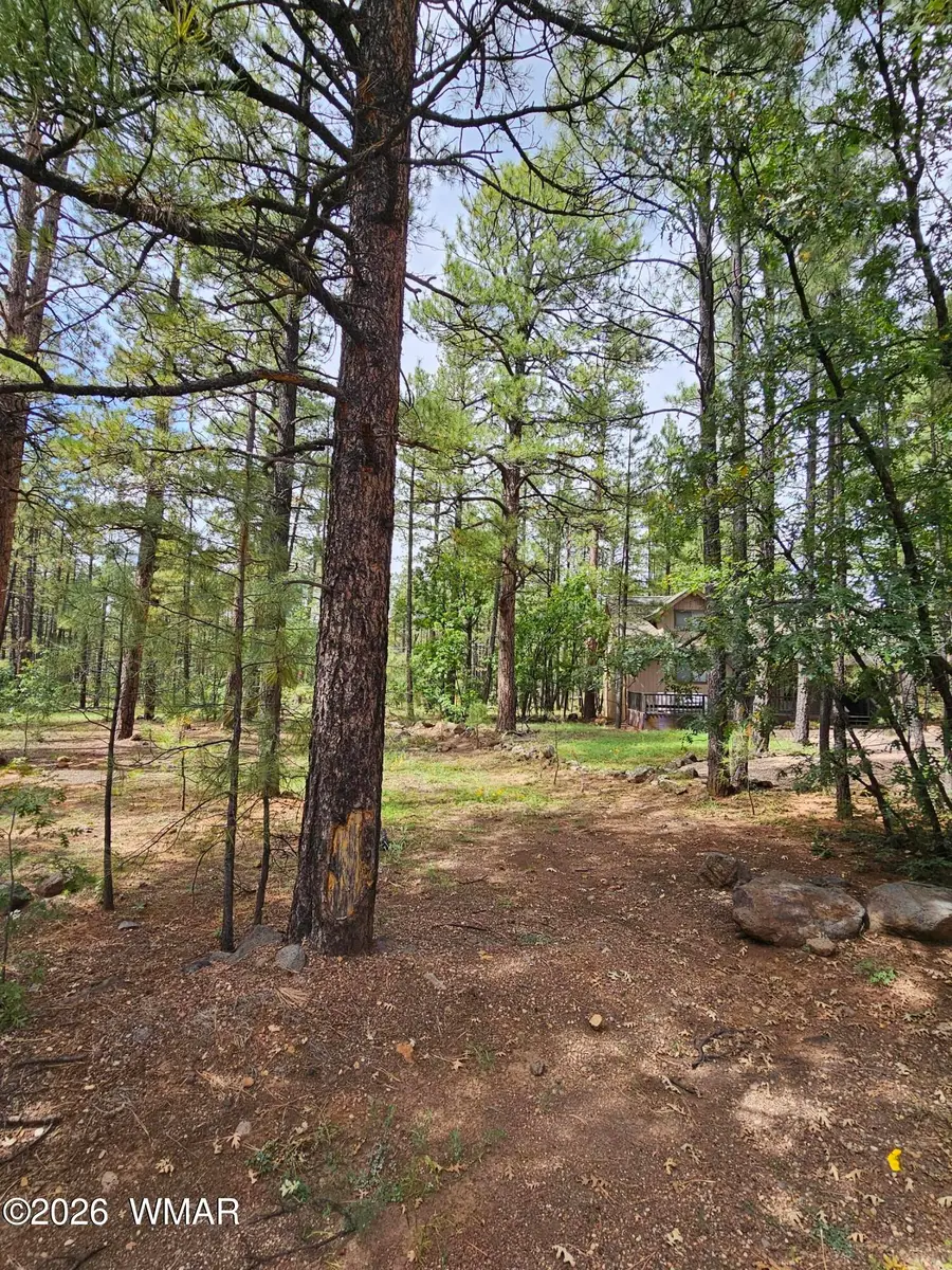 6311 Appaloosa Circle, Pinetop, AZ 85935 - #3