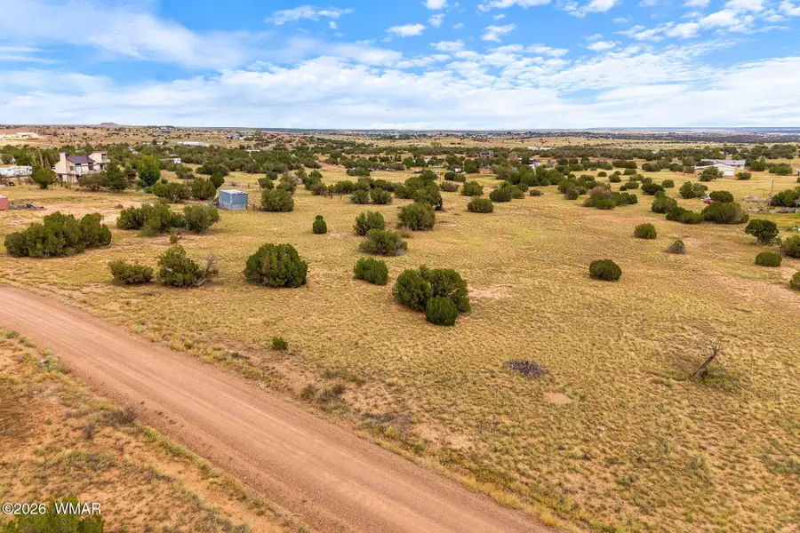3919 Petersen Road, Snowflake, AZ 85937 - #3