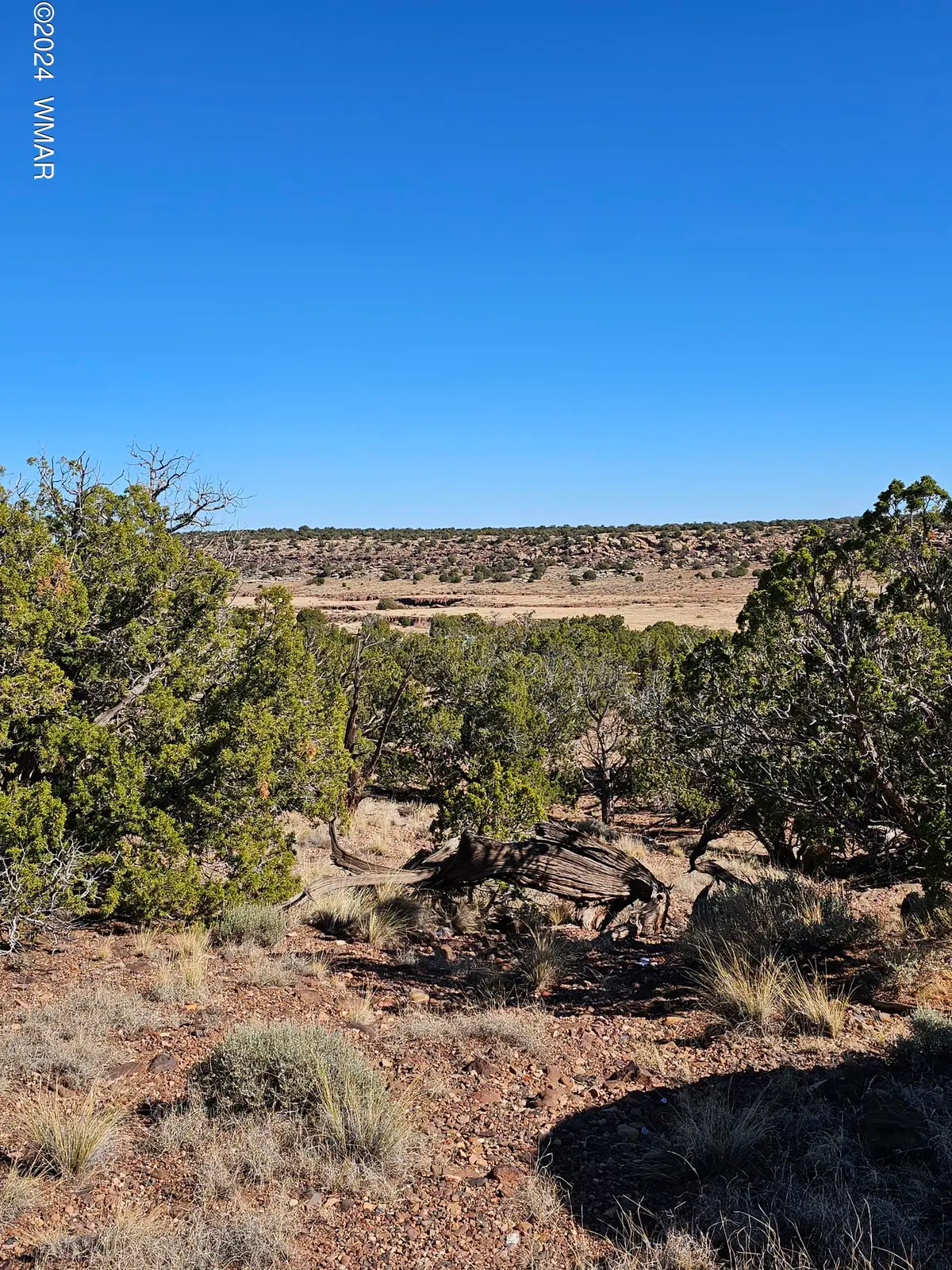 45 N 8579, Concho, AZ 85924 - #1