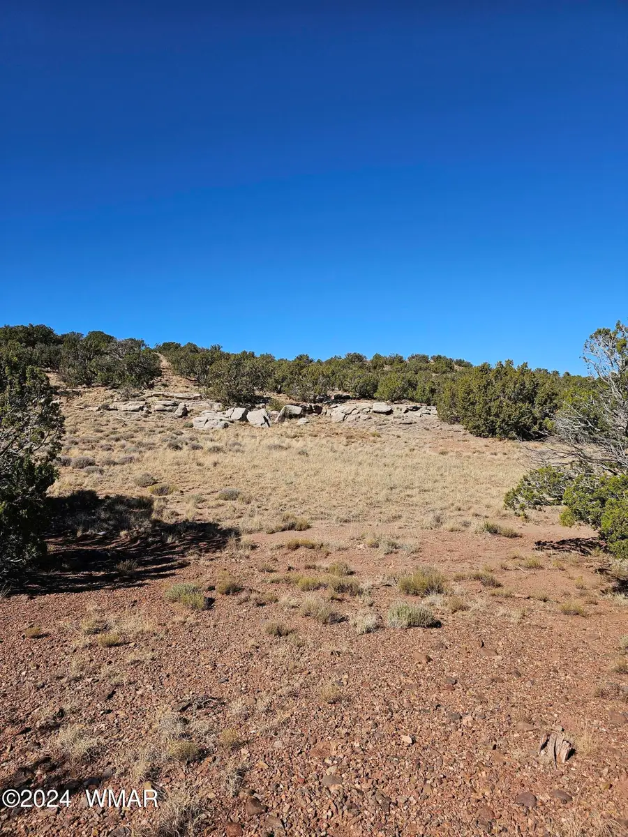 45 N 8579, Concho, AZ 85924 - #3