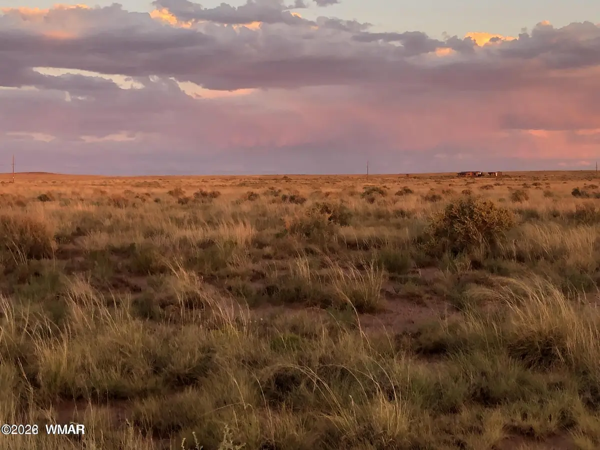 8430 Jones Road, Woodruff, AZ 85942 - #1