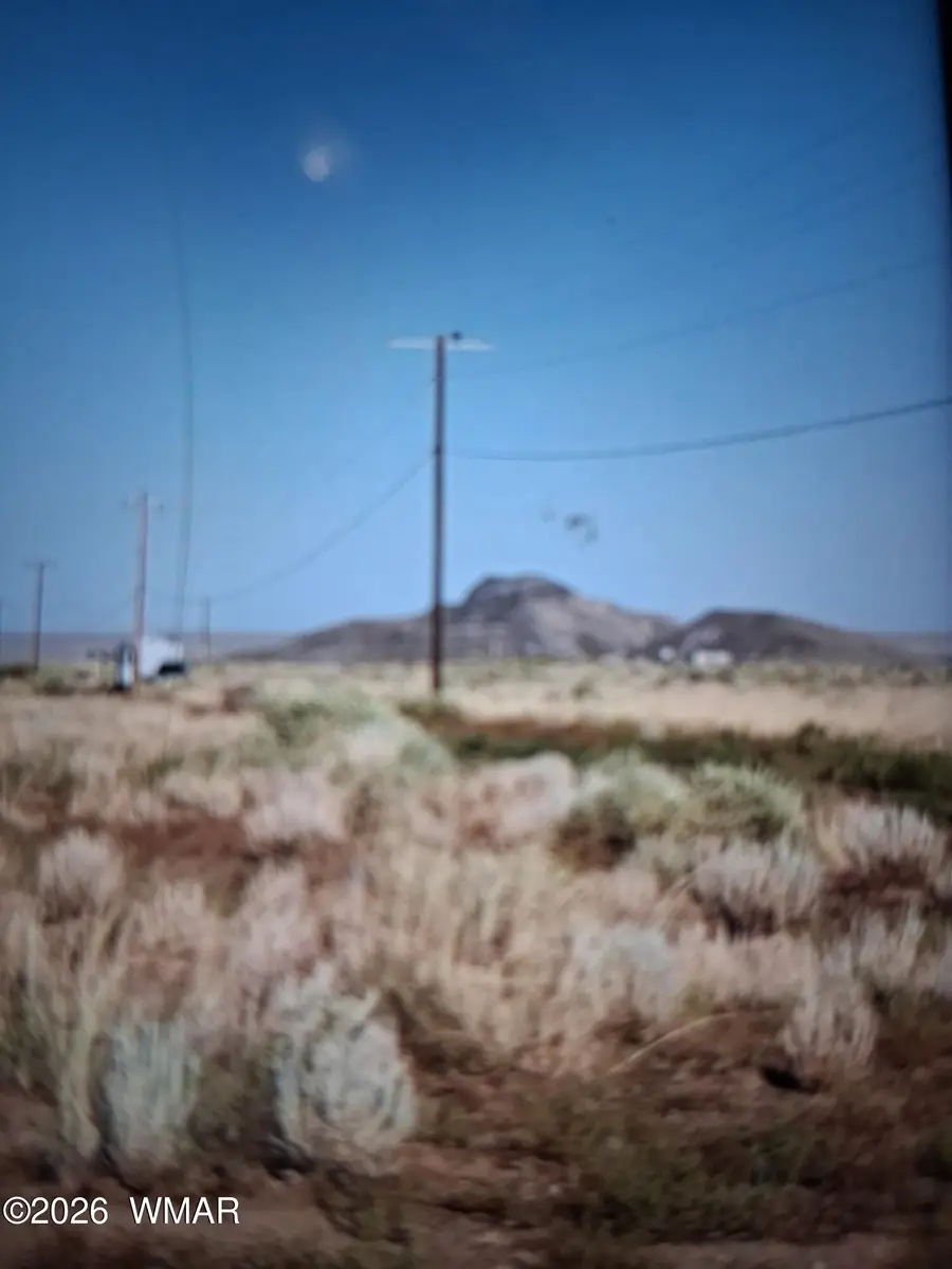 8430 Jones Road, Woodruff, AZ 85942 - #2