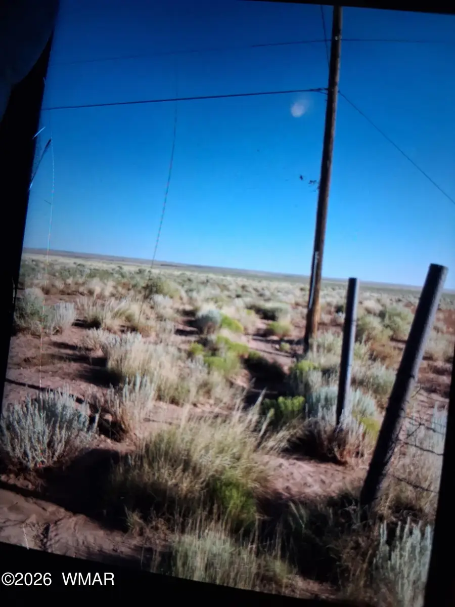 8430 Jones Road, Woodruff, AZ 85942 - #3
