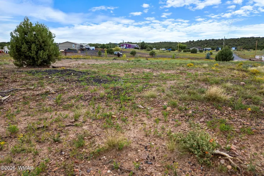 6649 Avanti Way, Show Low, AZ 85901 - #3