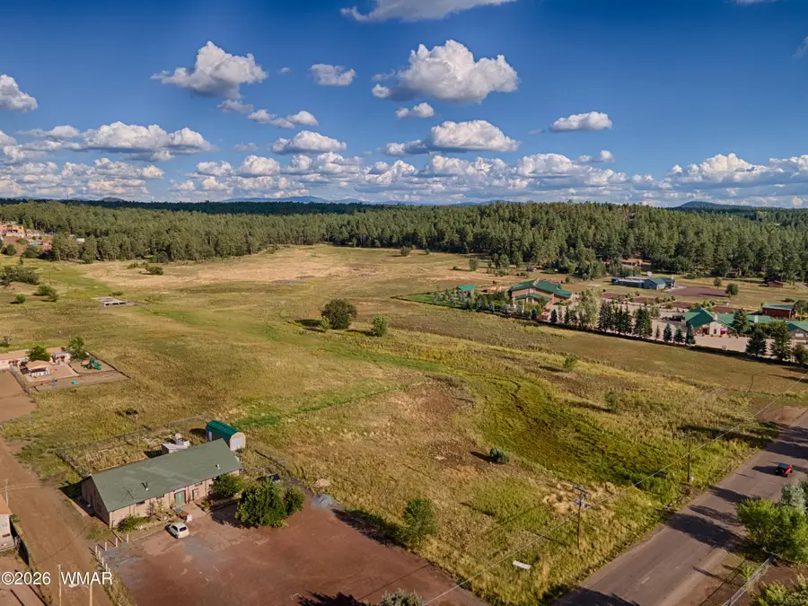 1800 S Penrod Lane, Pinetop, AZ 85935 - #3