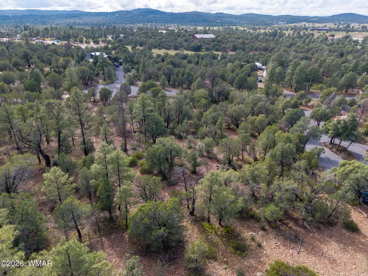 893 Mountain Trail, Show Low, AZ 85901 - #1