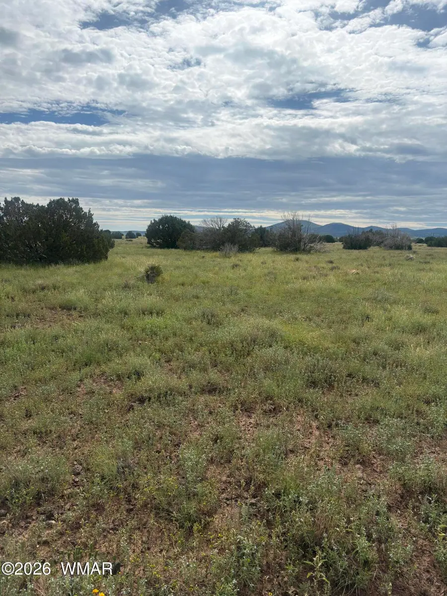 149 County Road 3149, Vernon, AZ 85940 - #3