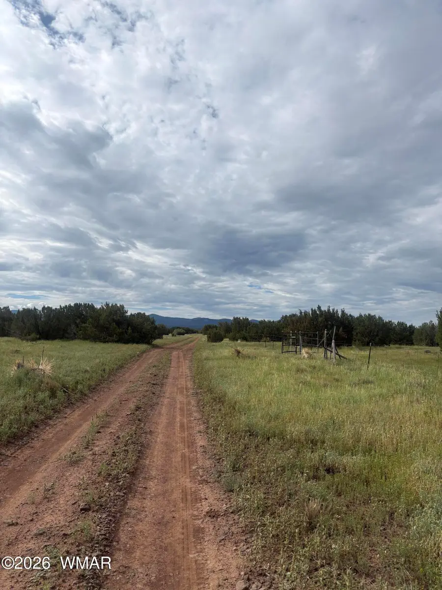 16 N N3111, Vernon, AZ 85940 - #2