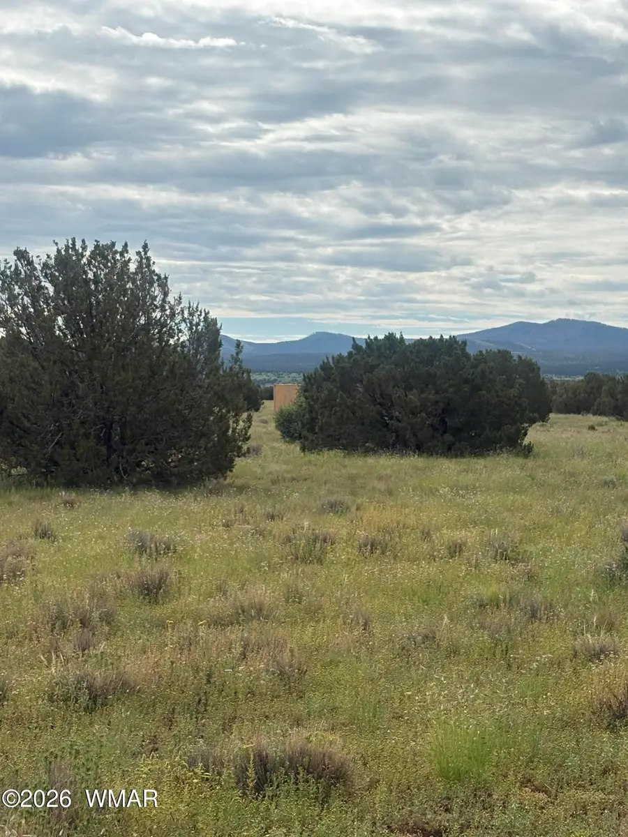 16 N N3111, Vernon, AZ 85940 - #3