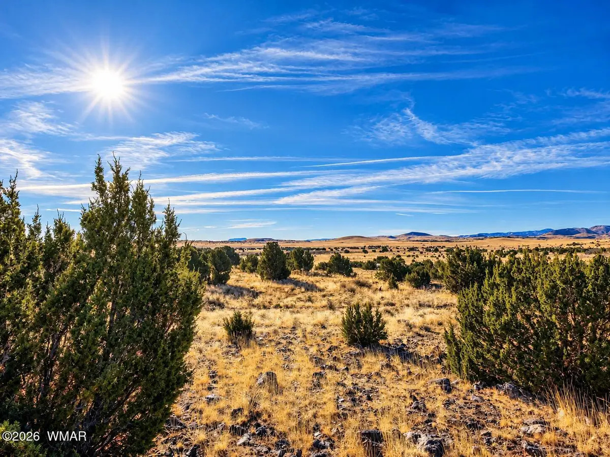 19 N5232, Concho, AZ 85924 - #1