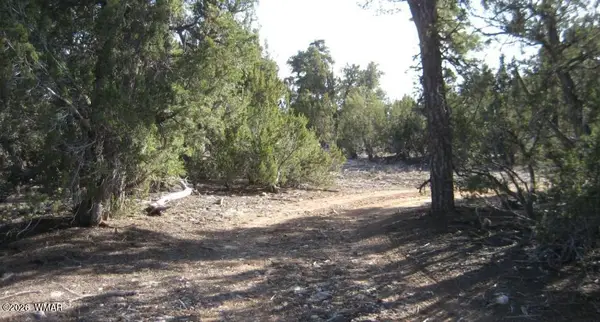 3249 E Aspen Road, Overgaard, AZ 85933