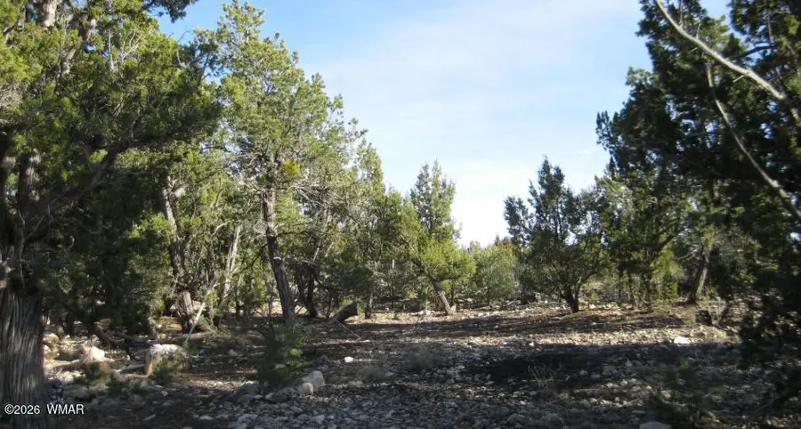 3249 E Aspen Road, Overgaard, AZ 85933 - #2