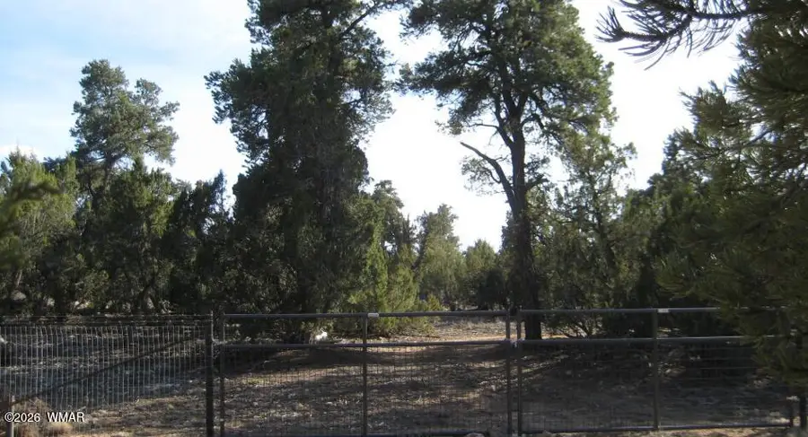 3249 E Aspen Road, Overgaard, AZ 85933 - #3