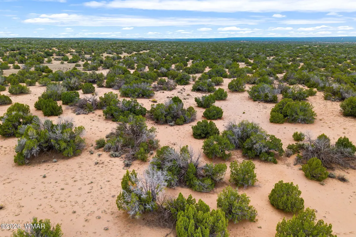 Lot 3 Witch Well Ranches, Saint Johns, AZ 85936 - #1
