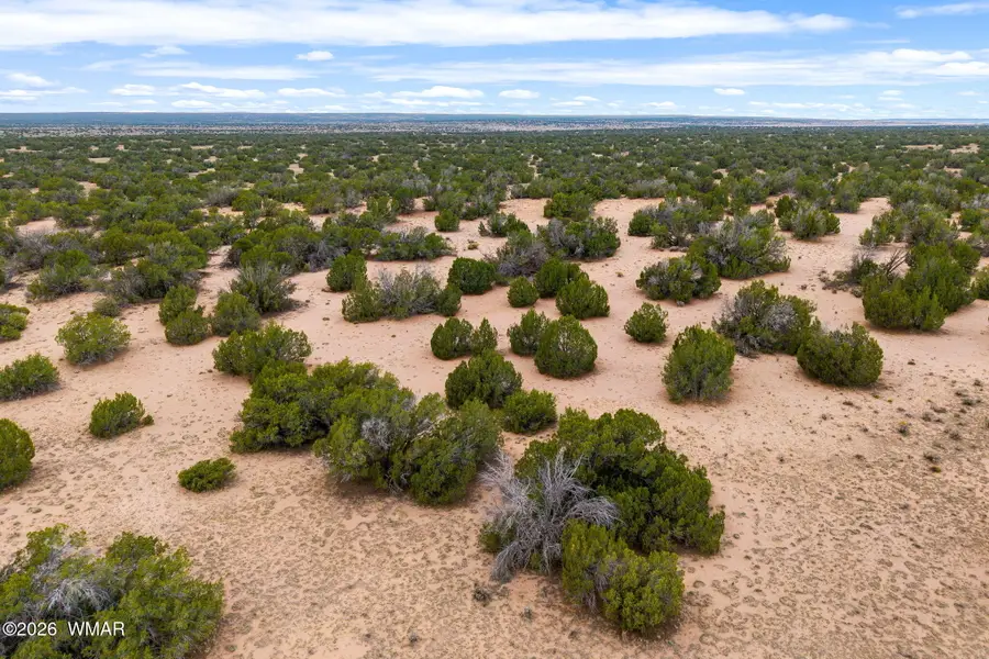 Lot 3 Witch Well Ranches, Saint Johns, AZ 85936 - #2