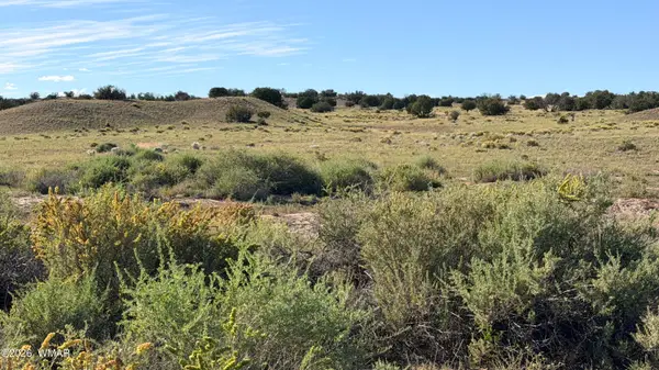 TBD N 6543, St. Johns, AZ 85936