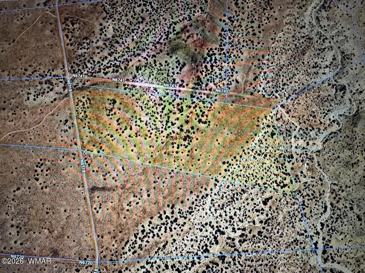 Lot 198 Tbd, Saint Johns, AZ 85936 - #1