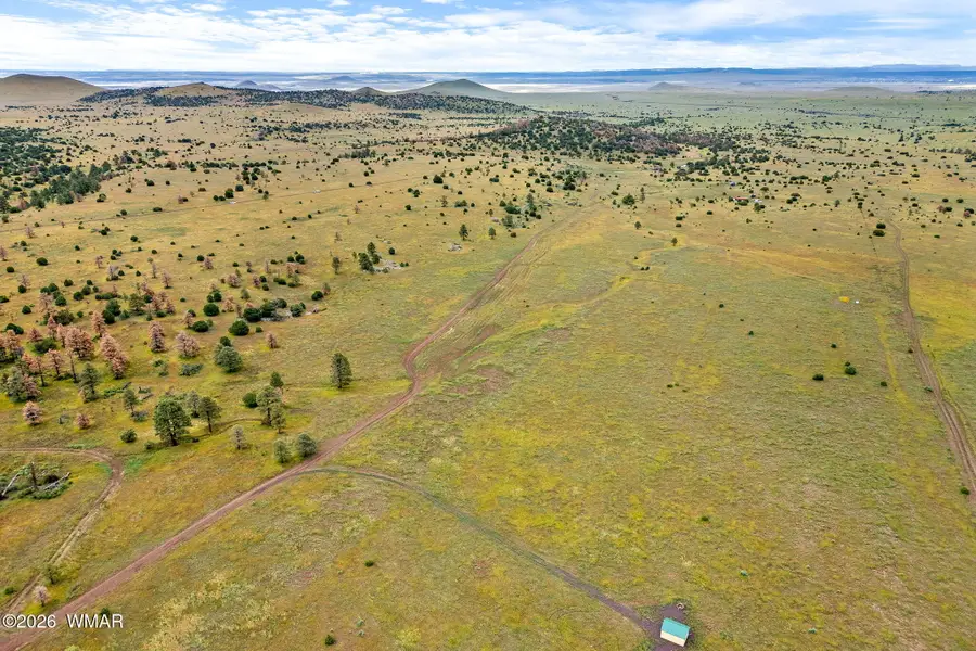 TBD County Rd N1334, Greer, AZ 85927 - #2