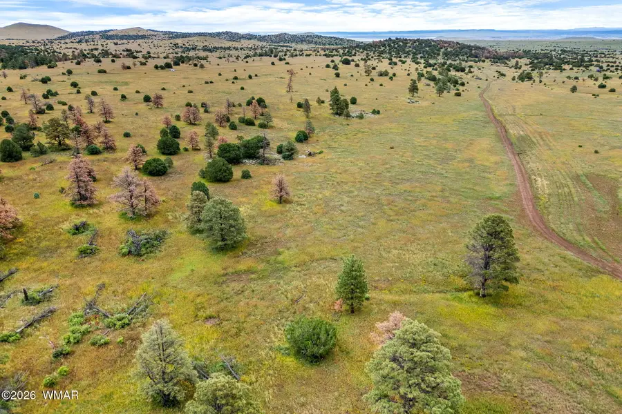 TBD County Rd N1334, Greer, AZ 85927 - #3