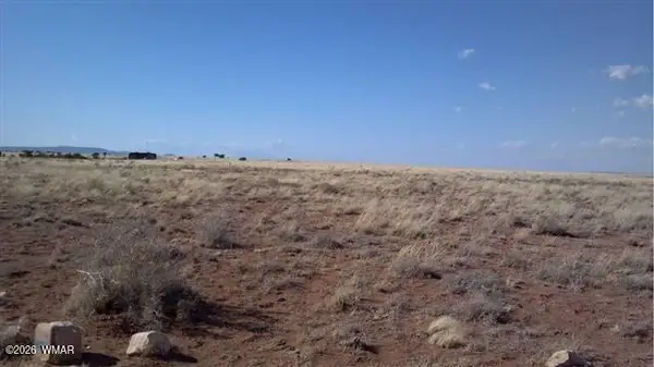 Lot 487 Chevelon Canyon Ranch Unit 3, Heber, AZ 85928