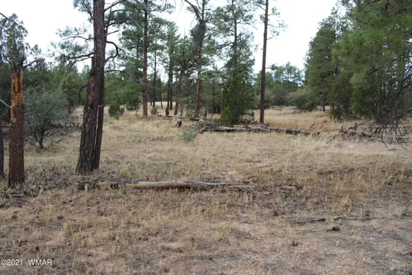 004 U Elk Trail, Show Low, AZ 85901