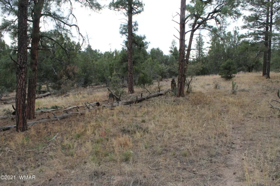 004 U Elk Trail, Show Low, AZ 85901 - #2