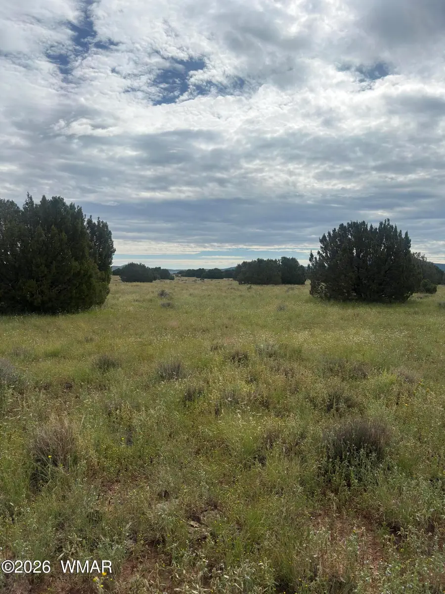 147 County Road 3149, Vernon, AZ 85940 - #2