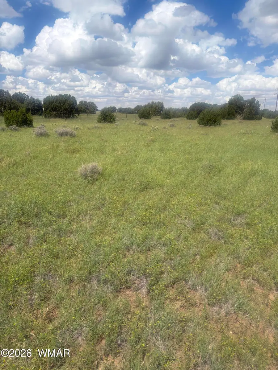 147 County Road 3149, Vernon, AZ 85940 - #3