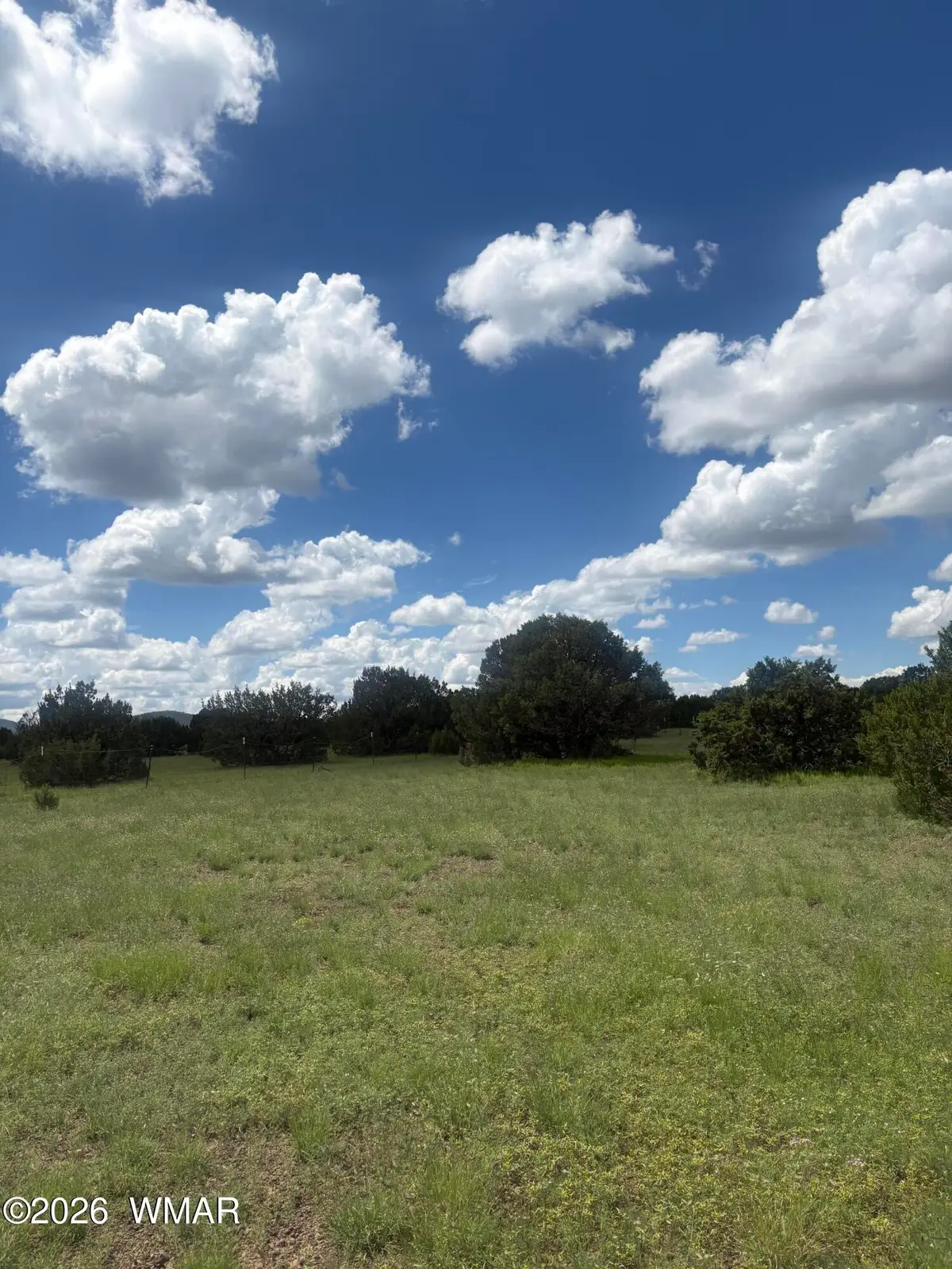 33 N3110, Vernon, AZ 85940 - #1