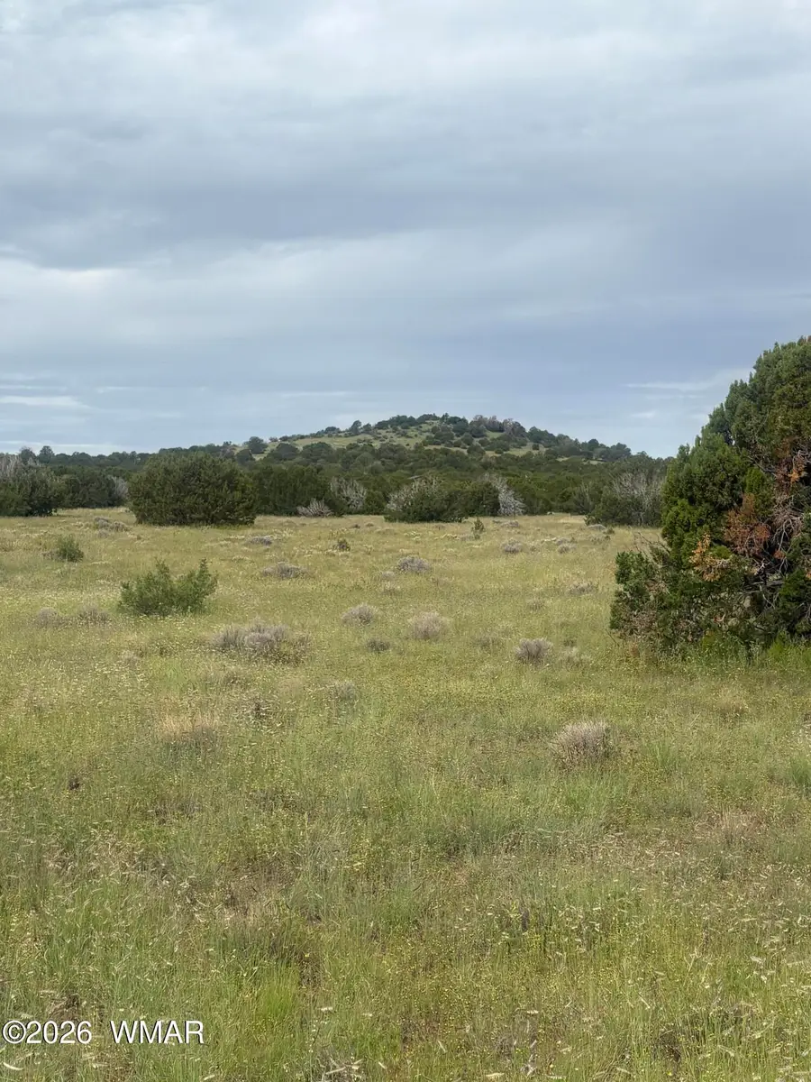 33 N3110, Vernon, AZ 85940 - #2