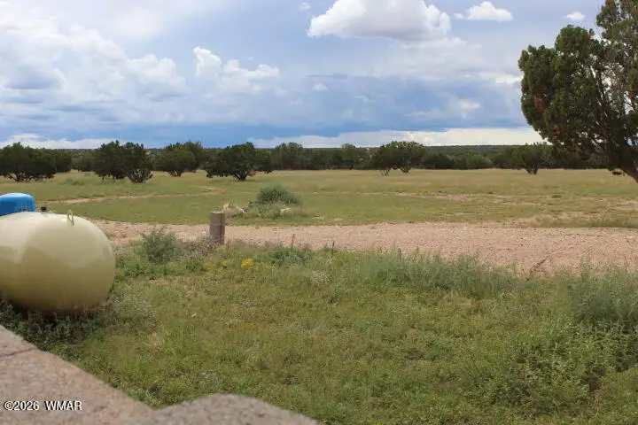 995 Rock On Dam Tank Road, Heber, AZ 85928 - #2