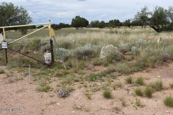 995 Rock On Dam Tank Road, Heber, AZ 85928 - #3