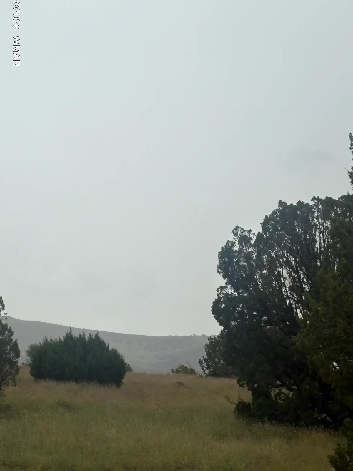 3 Littler Drive, Concho, AZ 85924 - #1