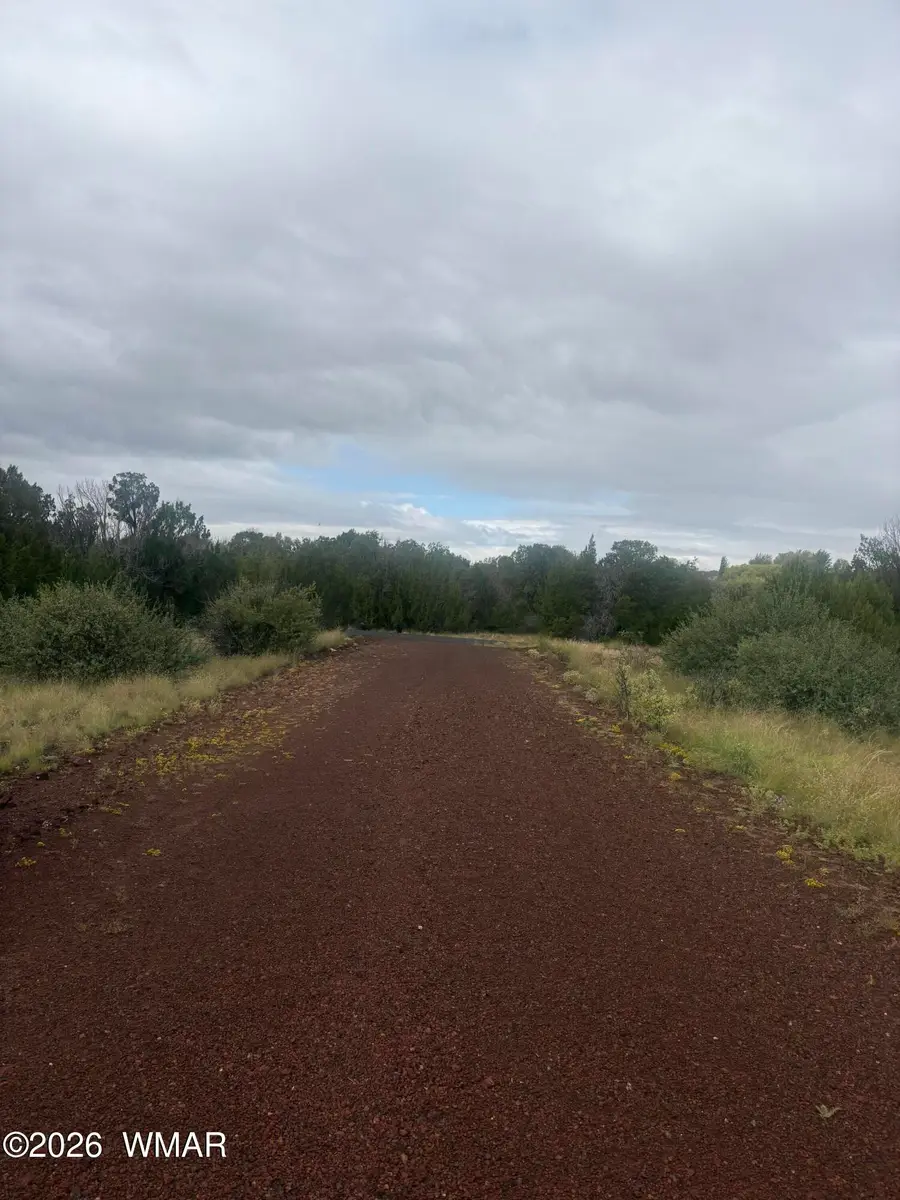 3 Littler Drive, Concho, AZ 85924 - #2