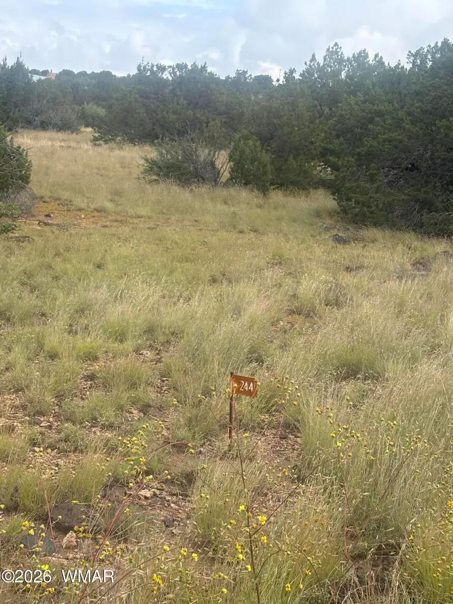 3 Littler Drive, Concho, AZ 85924 - #3