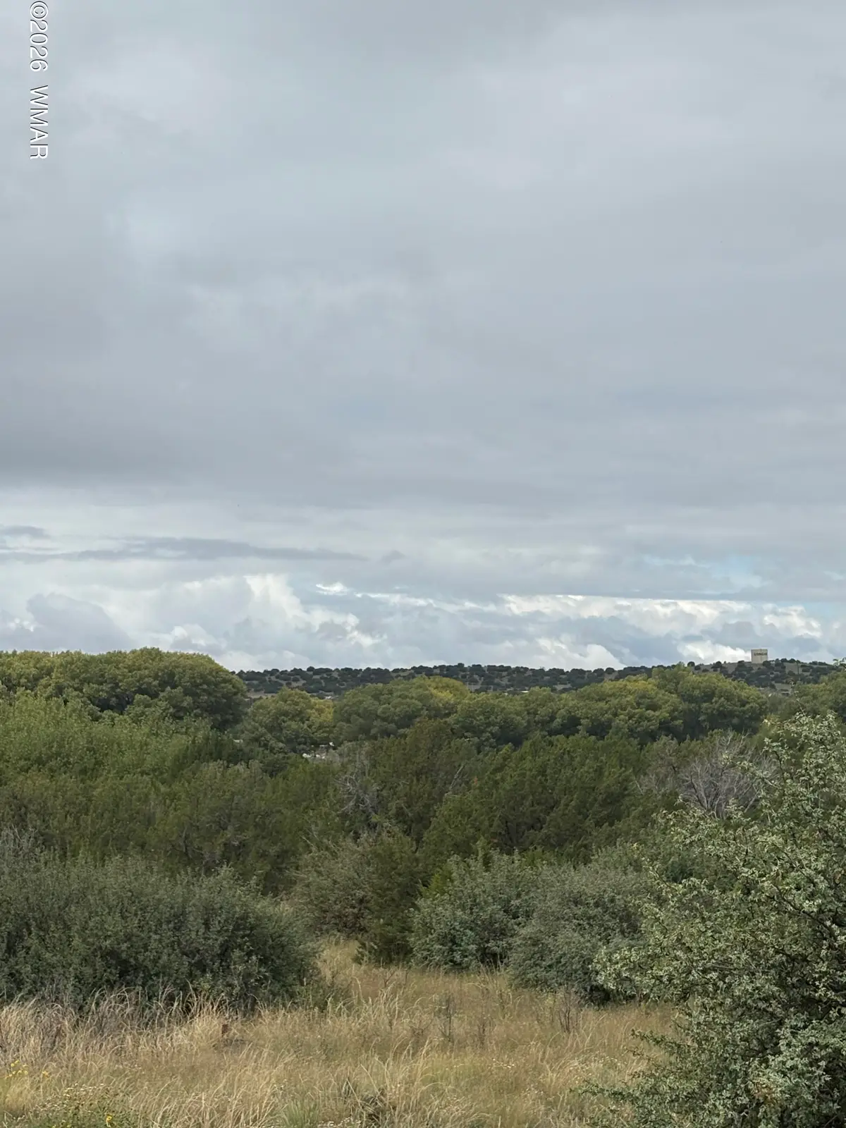 7 County Road 5082, Concho, AZ 85924 - #1