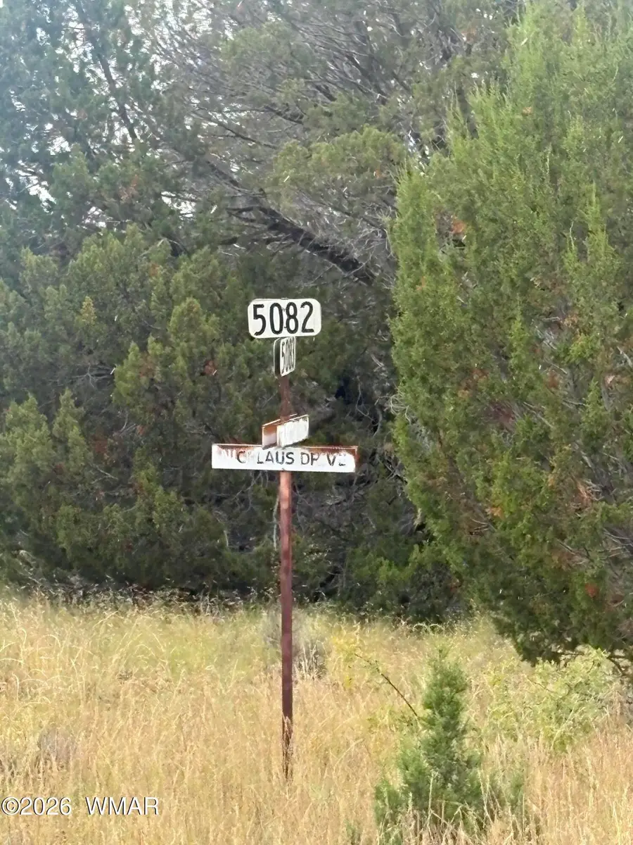 7 County Road 5082, Concho, AZ 85924 - #2