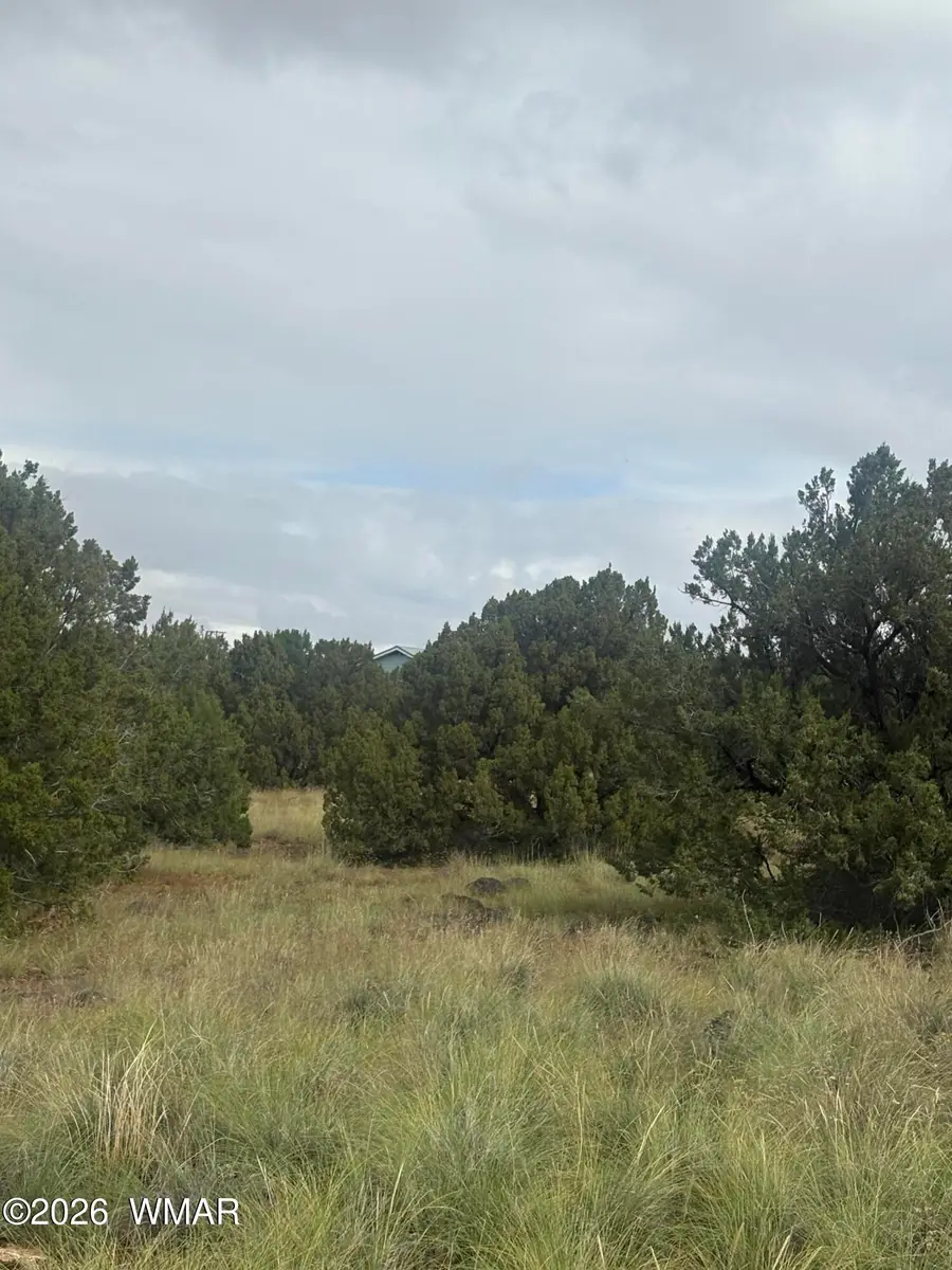 7 County Road 5082, Concho, AZ 85924 - #3