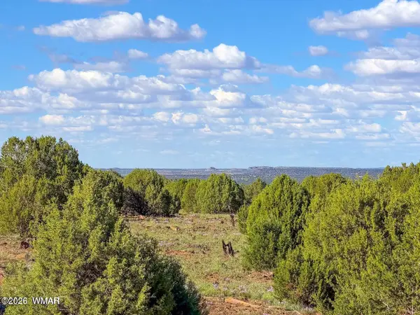 8025 Colt Lot #5 8 Acres Lane, Show Low, AZ 85901